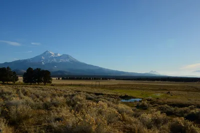 DSC_3004 (Large).JPG